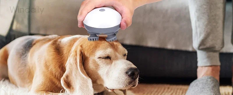 Smart Scalp Massage