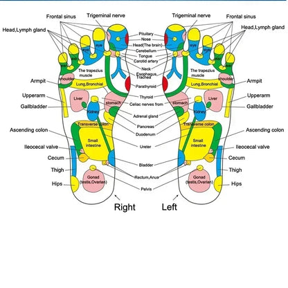 Fußmassagematte, Akupressur, Entspannungsmassagekissen, Triggerpunkt-Therapie, Schmerzlinderung, Stressabbau, Reflexzonenmassage, Walk Stone Road