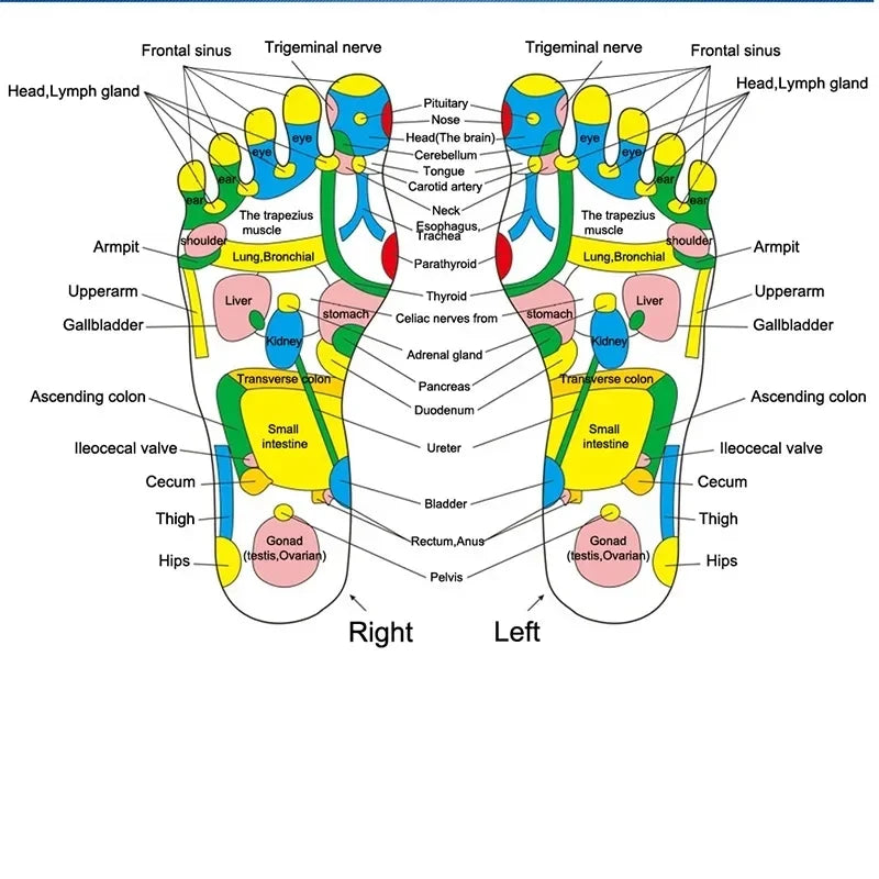 Fußmassagematte, Akupressur, Entspannungsmassagekissen, Triggerpunkt-Therapie, Schmerzlinderung, Stressabbau, Reflexzonenmassage, Walk Stone Road